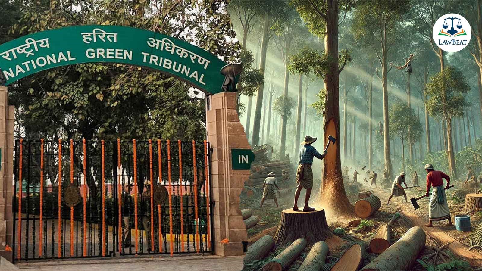 Illegal Tree Cutting in Nainital: NGT Summons Uttarakhand Officials for ‘Miserably Failing to Take Action’ Illegal Tree Cutting in Nainital: NGT Summons Uttarakhand Officials for ‘Miserably Failing to Take Action’